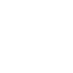 DP.png